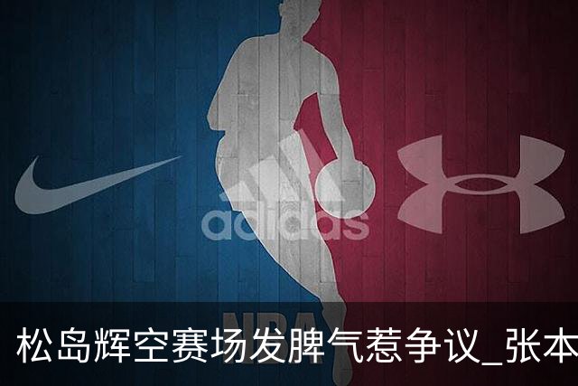 松岛辉空赛场发脾气惹争议 张本美和无法理解其表现